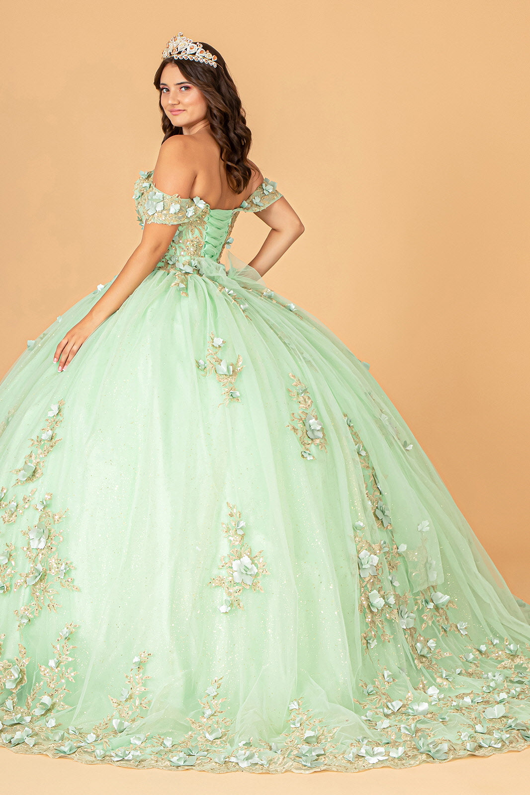 3-D Flower Applique Sweetheart Neckline Mesh Quinceanera Ball Gown GLGL3102 Elsy Style QUINCEANERA