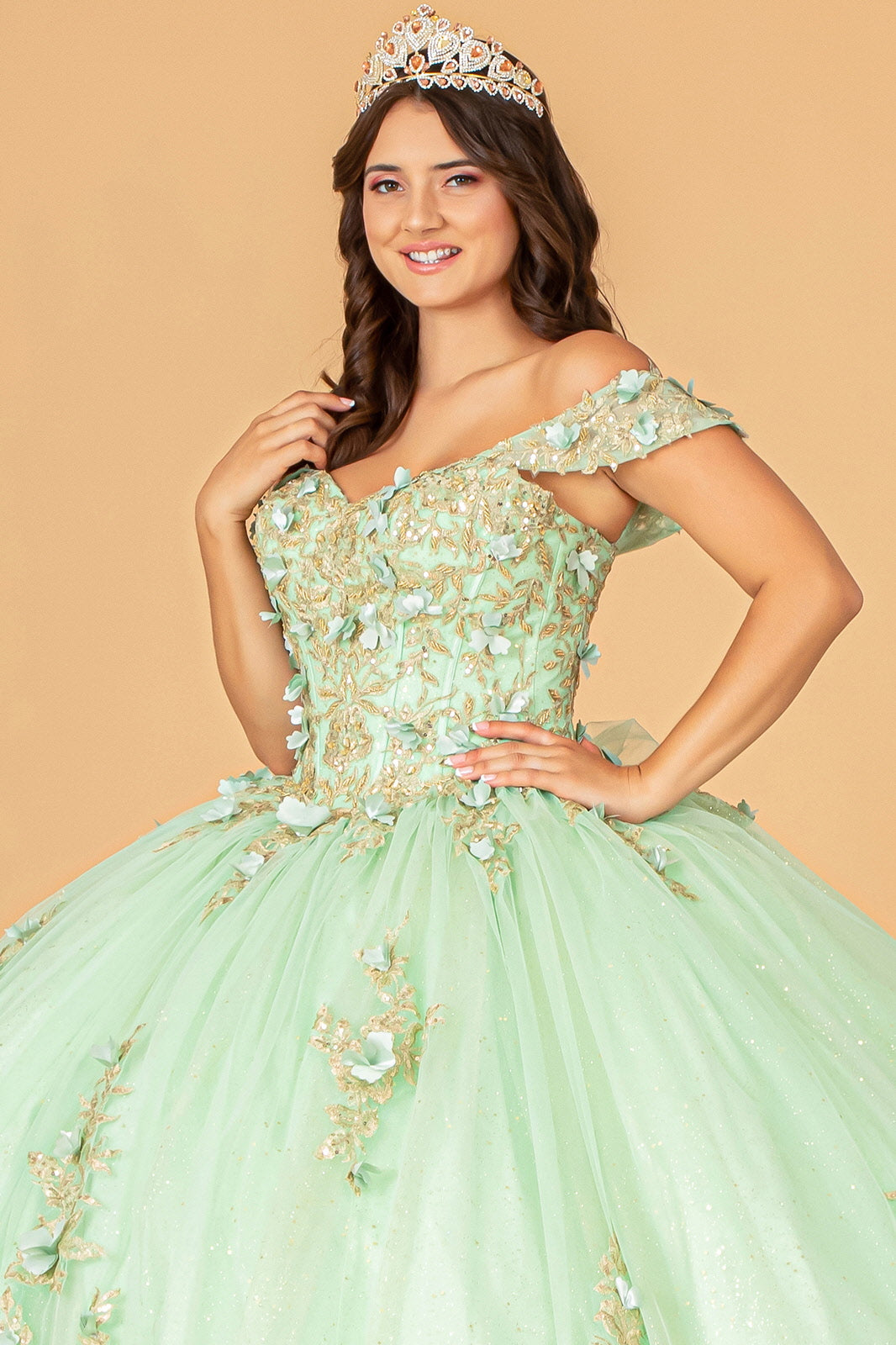 3-D Flower Applique Sweetheart Neckline Mesh Quinceanera Ball Gown GLGL3102 Elsy Style QUINCEANERA