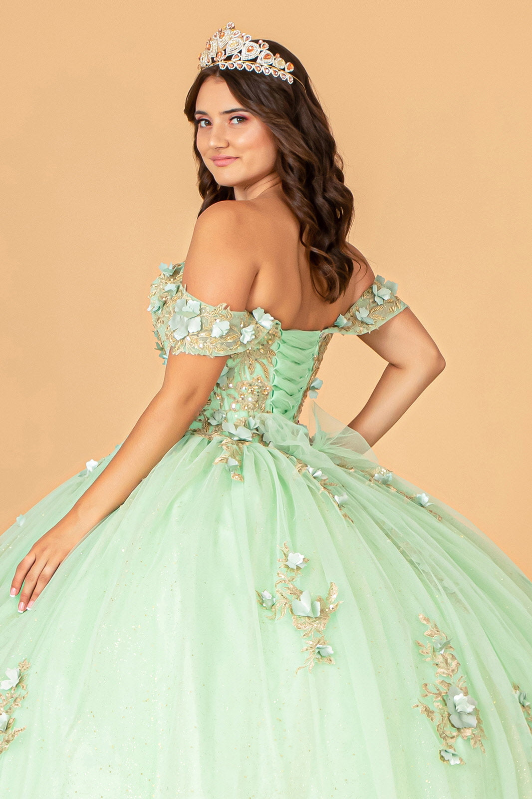 3-D Flower Applique Sweetheart Neckline Mesh Quinceanera Ball Gown GLGL3102 Elsy Style QUINCEANERA