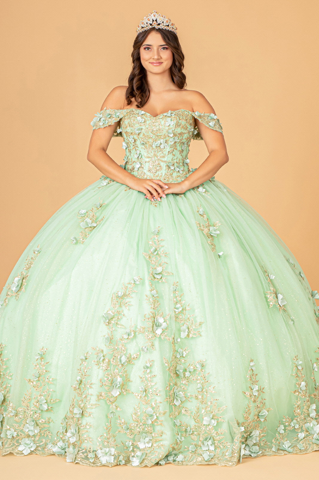 3-D Flower Applique Sweetheart Neckline Mesh Quinceanera Ball Gown GLGL3102 Elsy Style QUINCEANERA