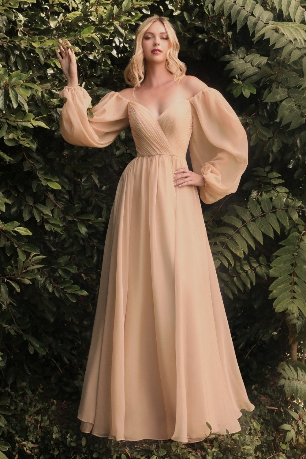 Chiffon A-line Prom & Evening Dress Long Sheer Sleeves Closed Shoulders Bodice On or Off Shoulder Neckline CDCD243 Elsy Style Prom Dress