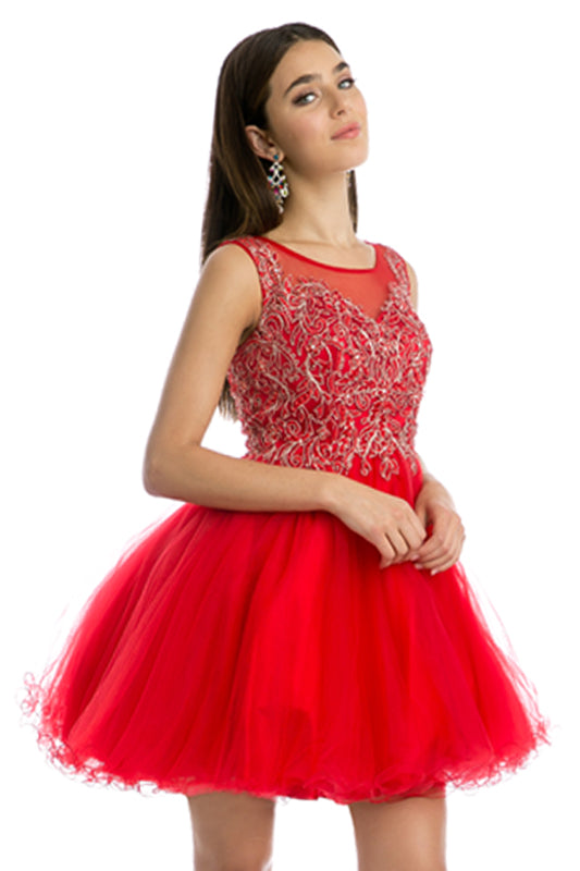 Embroidered Bodice Tulle Skirt Short Cocktail & Homecoming Dress JT789 Elsy Style Cocktail Dress