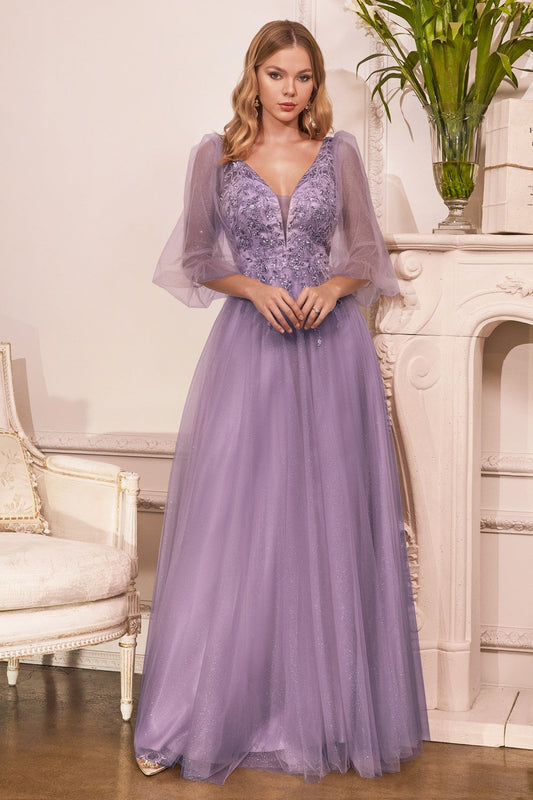 Long Sleeve Shimmering Ball & Prom Gown Embellished Bodice wirh V-neckline Vintage A-Line Tulle Skirt CDCD0182 Elsy Style Prom Dress