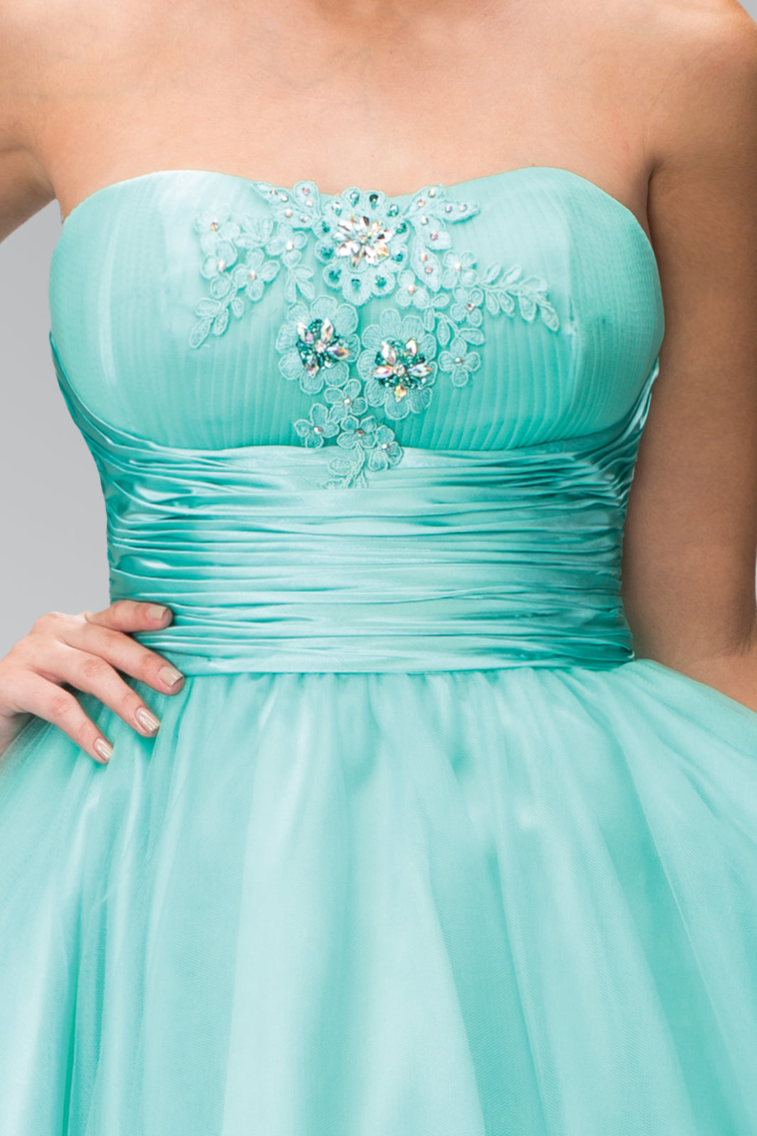 Short Tulle Dress with Pleated Waistband and Floral Lace GLGS1350 Elsy Style HOMECOMING