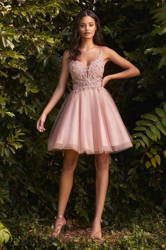 Short A-line Homecoming & Cocktail Dress Embroidered Appliqué Deep V-neck Bodice Spaghetti Straps Open Back Layered Skirt CDCD0190-0